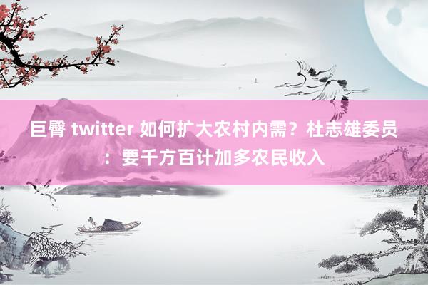 巨臀 twitter 如何扩大农村内需？杜志雄委员：要千方百计加多农民收入