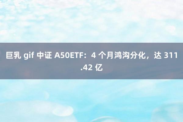 巨乳 gif 中证 A50ETF：4 个月鸿沟分化，达 311.42 亿